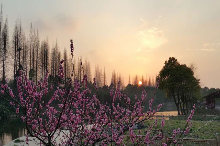 Taoyuan Shuixiang Hotel Chongming ภายนอก รูปภาพ